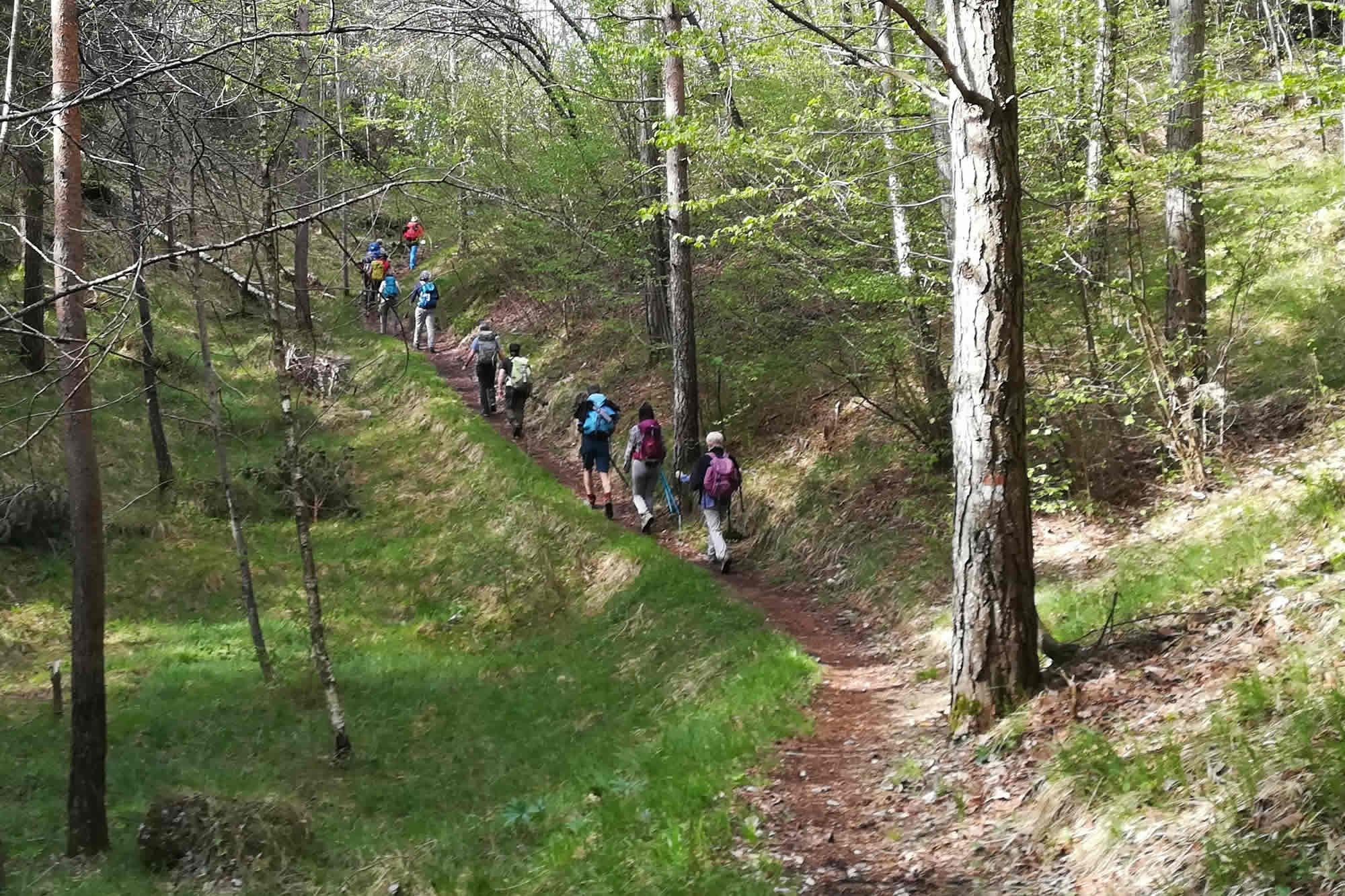 Escursionisti percorrono la dorsale verso il Mt. Breda