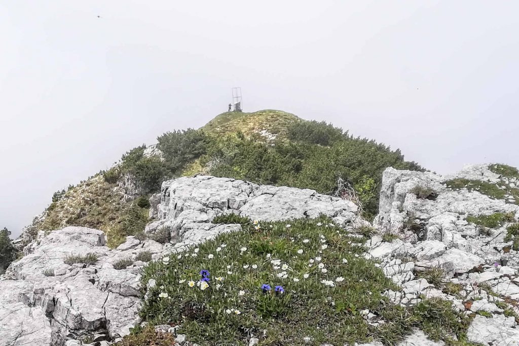 La cima ovest della Corna Blacca