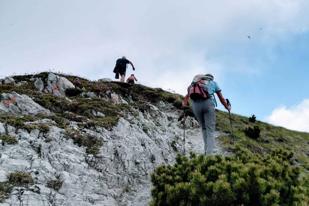 In dirittura d'arrivo