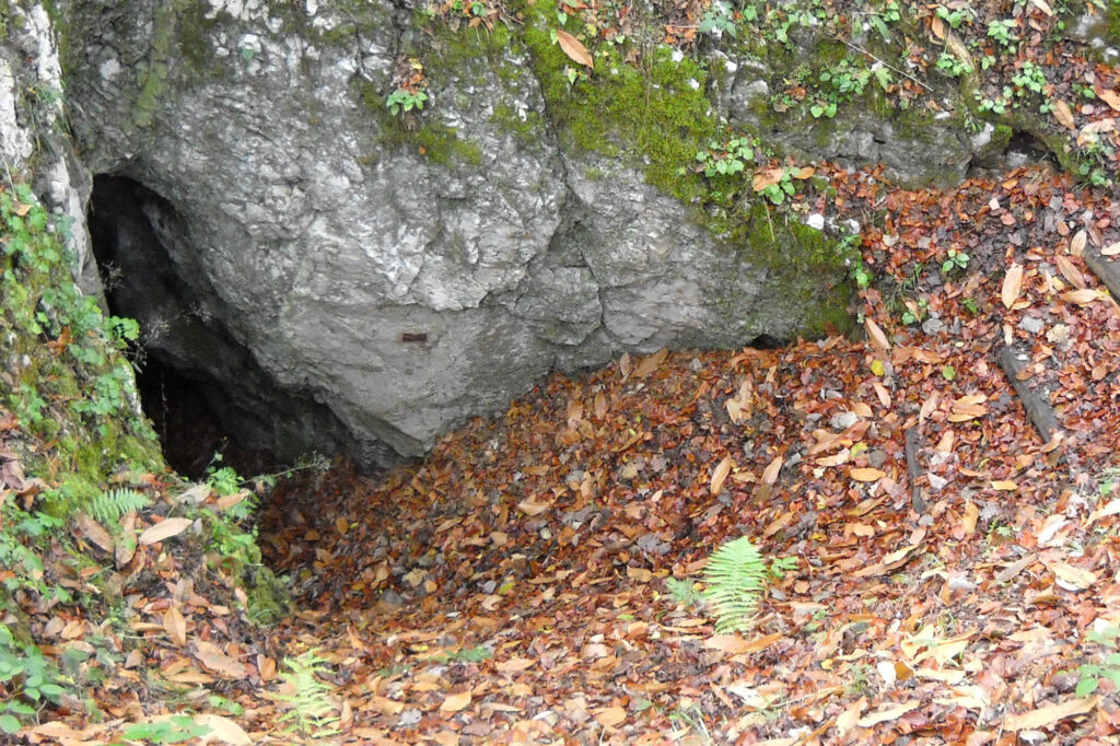Ingresso di una grotta