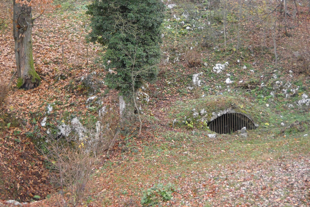 ingresso della grotta Bus del Lat