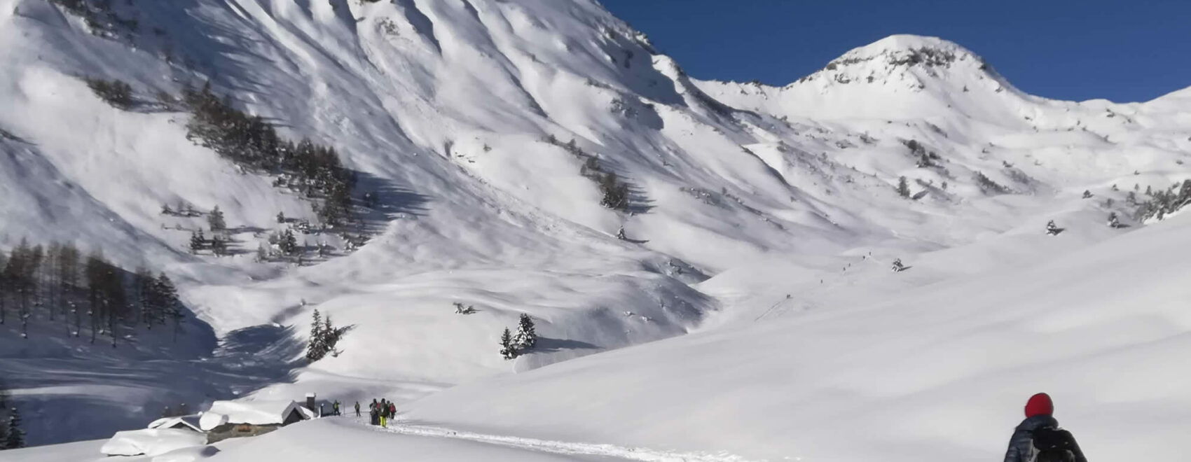 Cao ciaspole al Passo dell'Asino