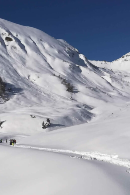 Cao ciaspole al Passo dell'Asino