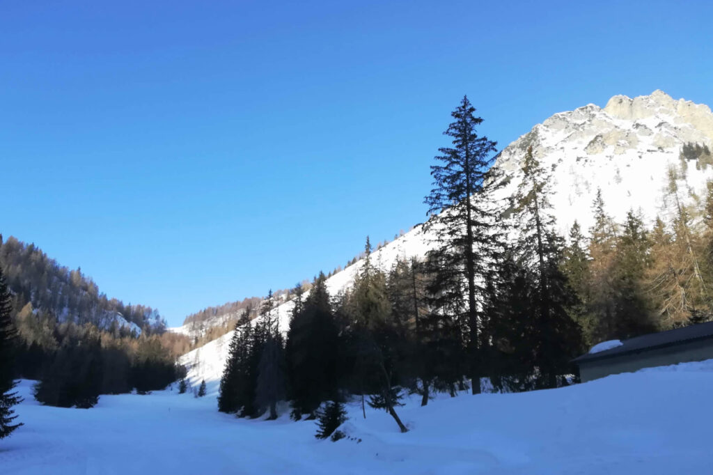 Sullo sfondo il Goletto e sulla destra le vette frastagliate del monte Colombina