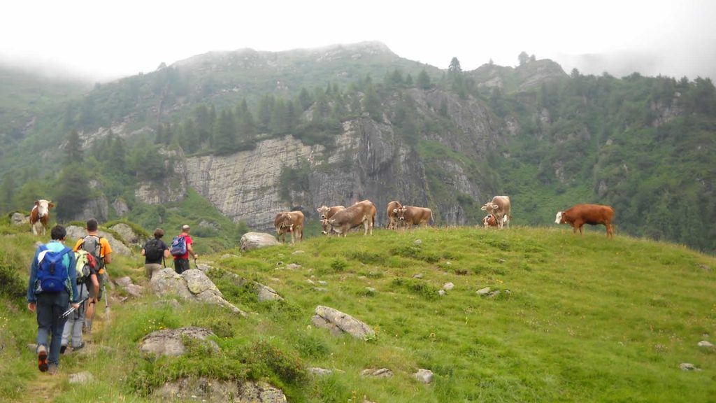 Escursionisti verso il passo Brealone