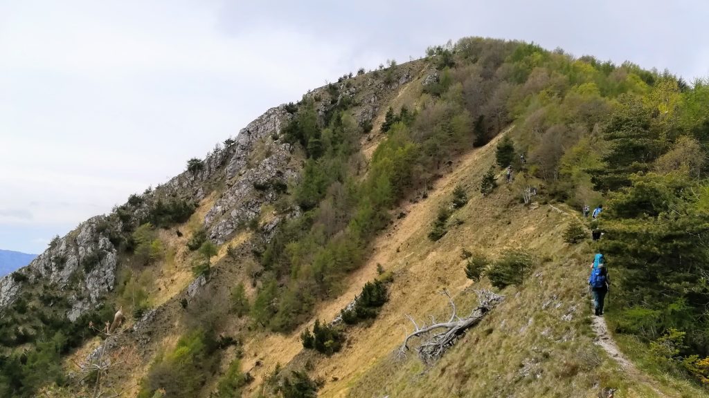 Salendo la dorsale verso la Piana dei Bandì