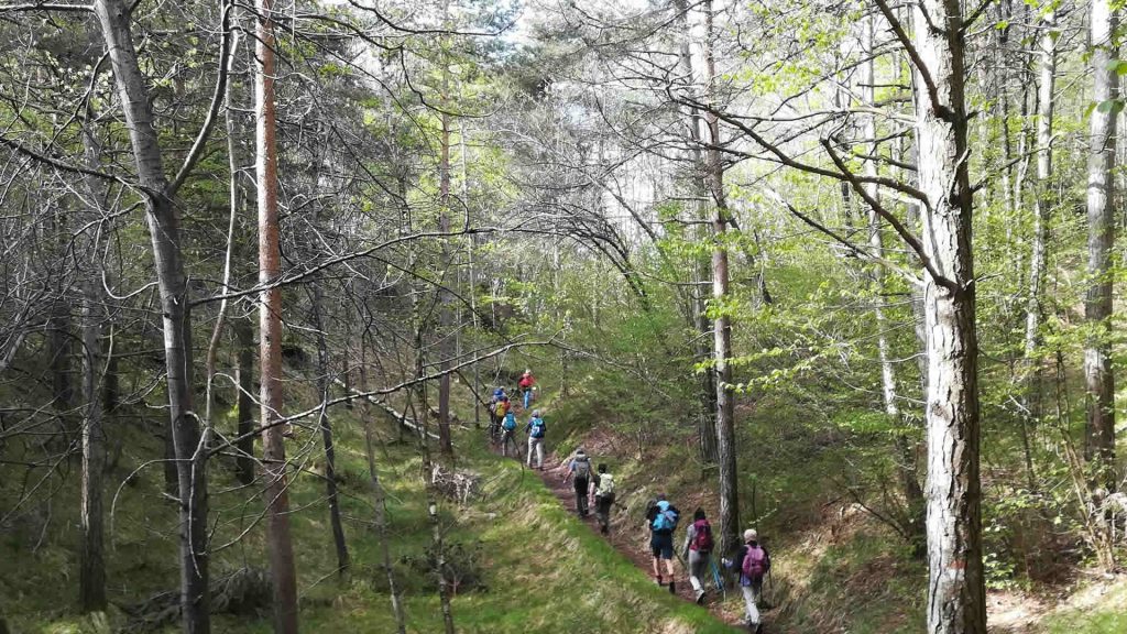 Lungo il sentiero poco dopo il portico di Montesuello