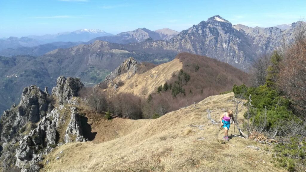 Per cresta erbosa verso la cima